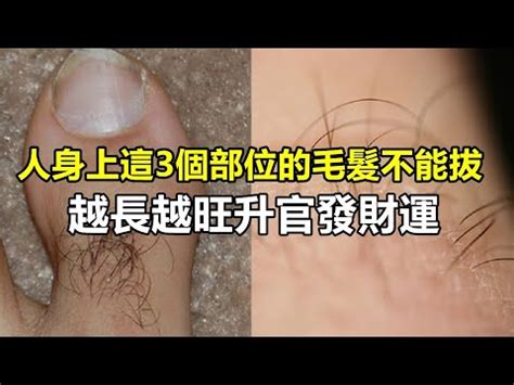 長白毛|長出白毛...我得病了嗎？ 醫生：千萬別拔！